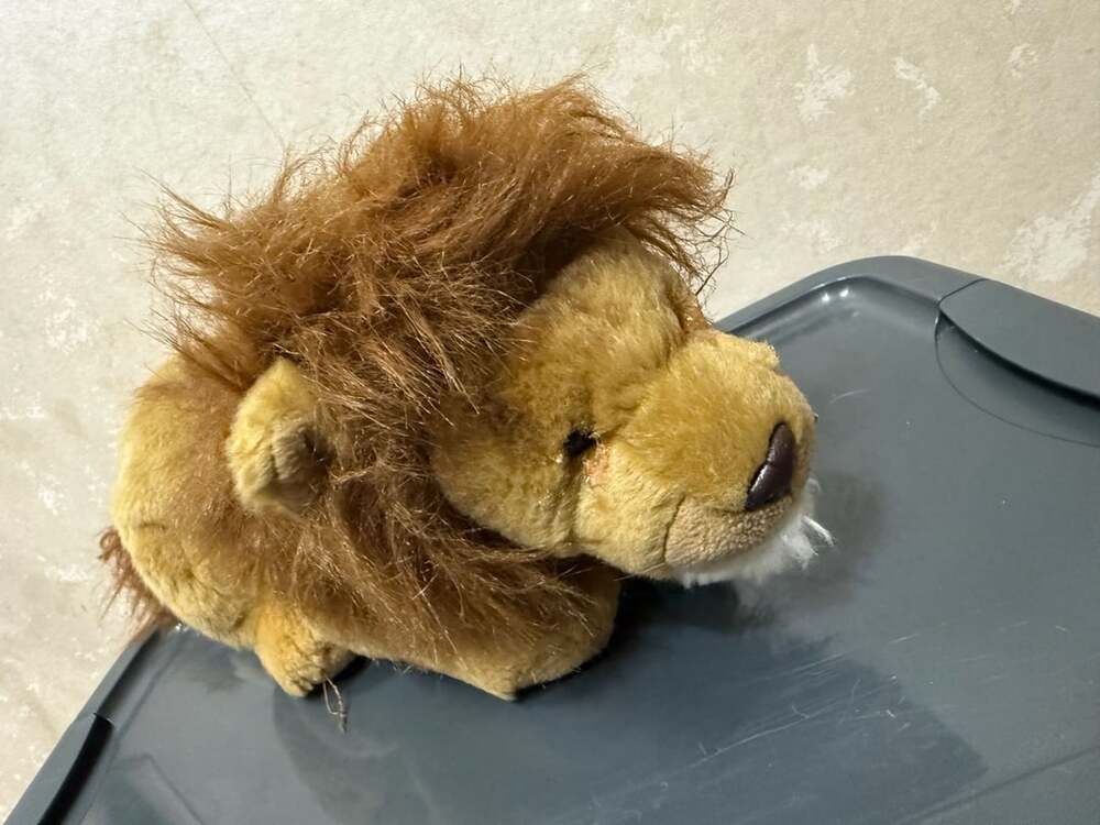 Aurora Plush Lion Stuffed Animal 13